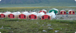 camps